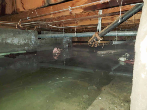 Best Commercial water damage restoration  in Broomfield, CO