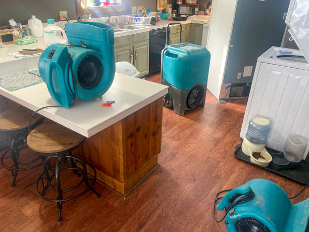 Best Water damage contractors near me  in Broomfield, CO