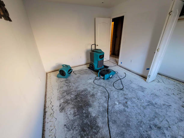 Best Water damage restoration insurance claims  in Broomfield, CO