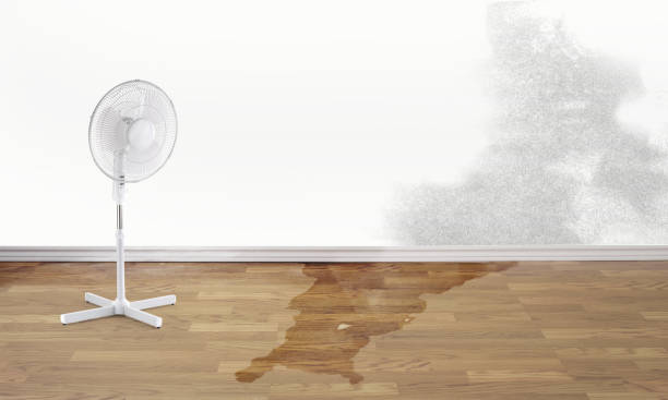  Broomfield, CO Water damage restoration Pros