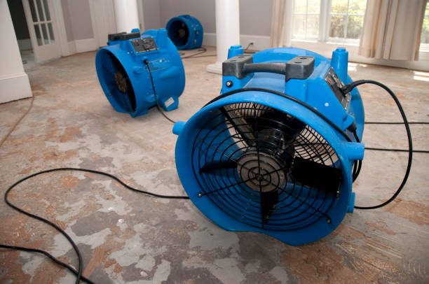Best Mold removal after water damage  in Broomfield, CO