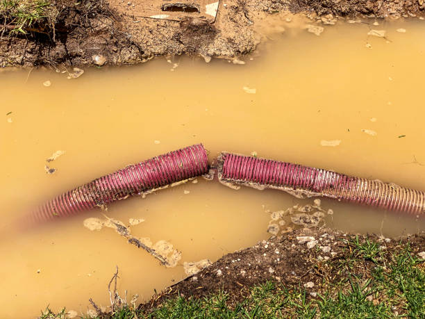 Best Professional water damage repair  in Broomfield, CO