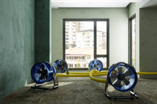 Best Carpet water damage restoration  in Broomfield, CO