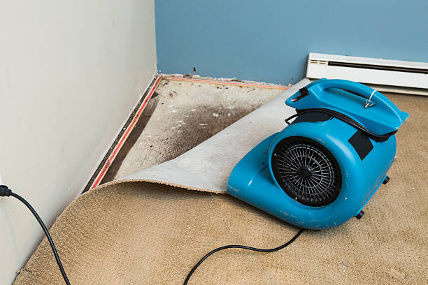 Best Sewage cleanup and water damage restoration  in Broomfield, CO